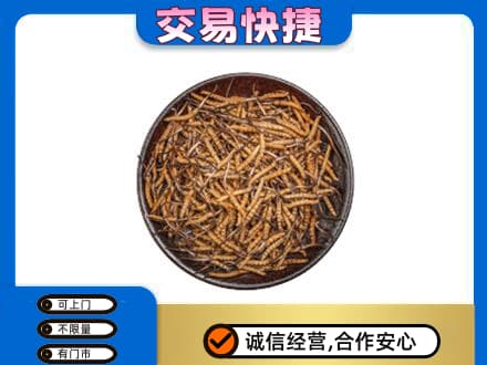 威海荣成市高价回收散虫草